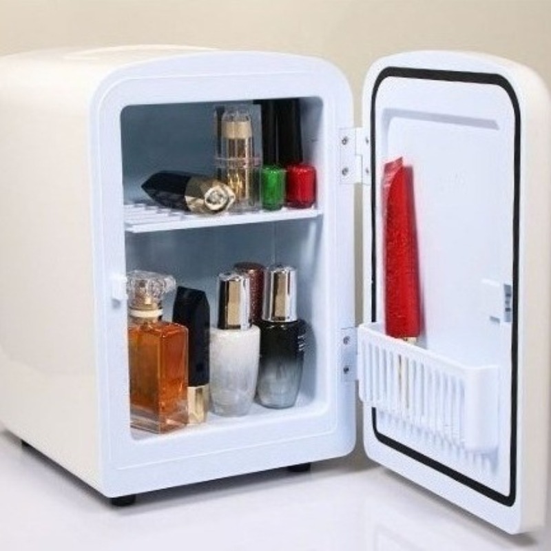 Small Makeup Storage Refrigera - Luxury Skincare Minis review and price